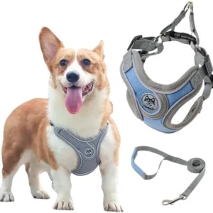 Coleira Peitoral para Cachorros Ajustável