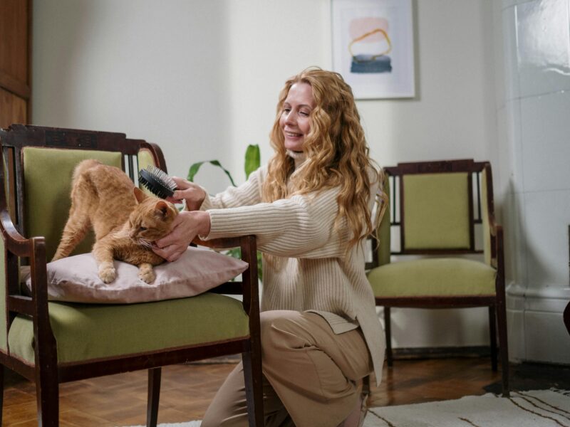 O Que Todo Dono de Pet Precisa Ter em Casa